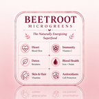 Beet