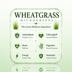 Wheat grass