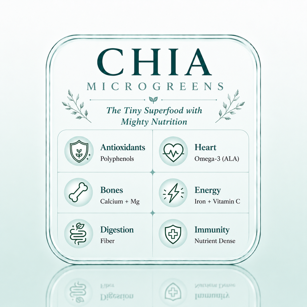 Chia