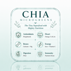 Chia