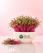 Beet