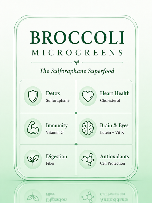 Broccoli