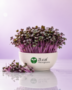 Red cabbage